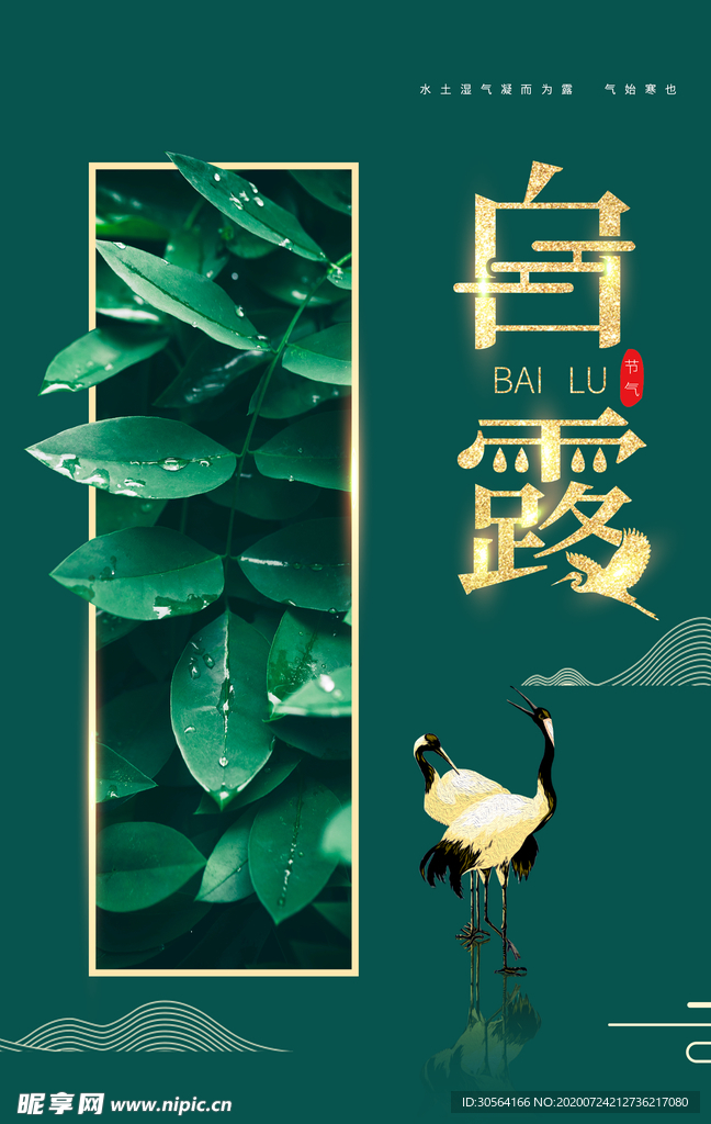 白露传统节日活动宣传海报素材