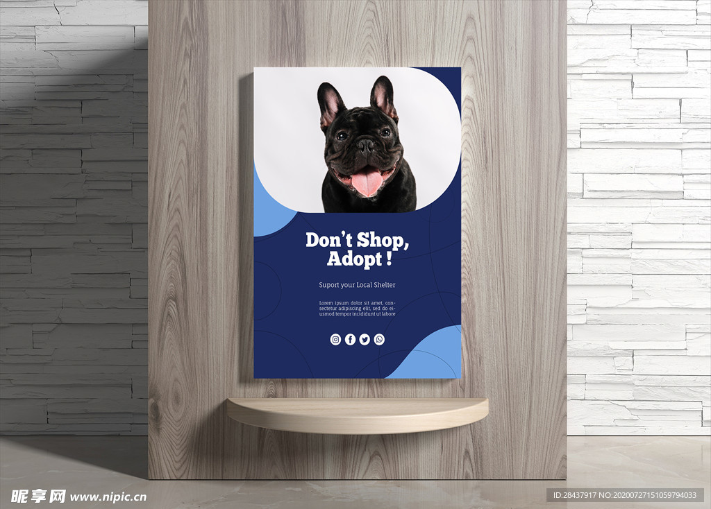 宠物海报