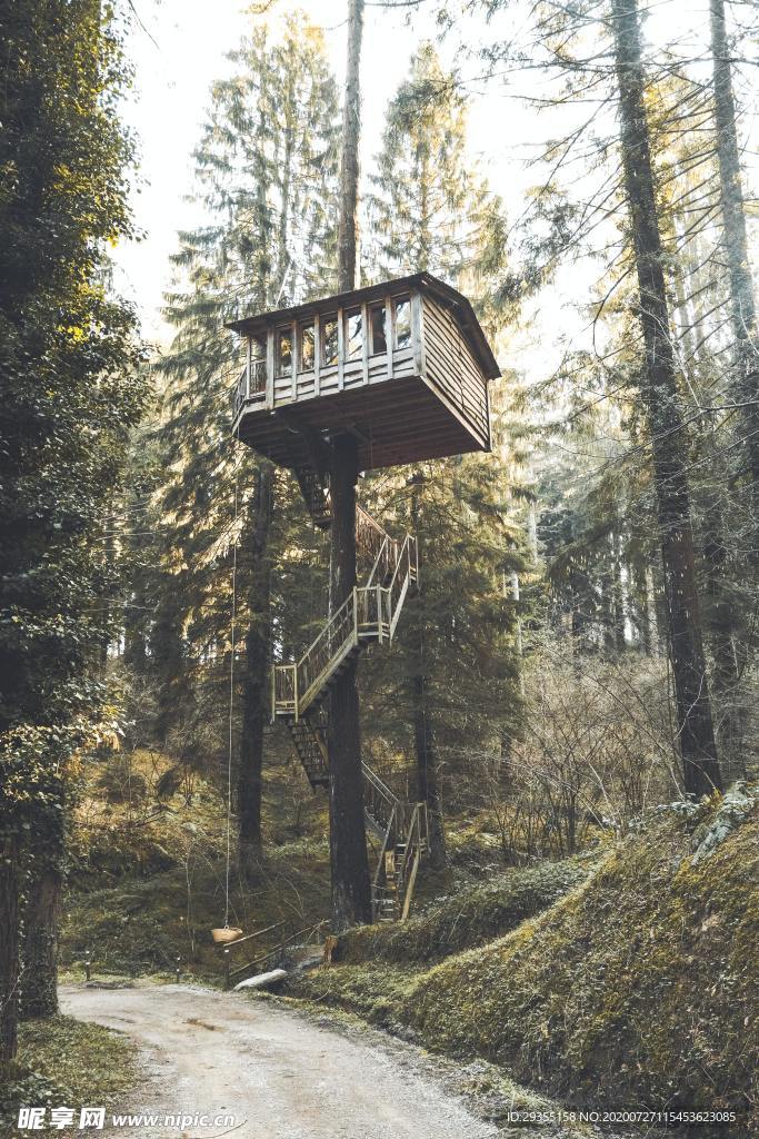 树屋