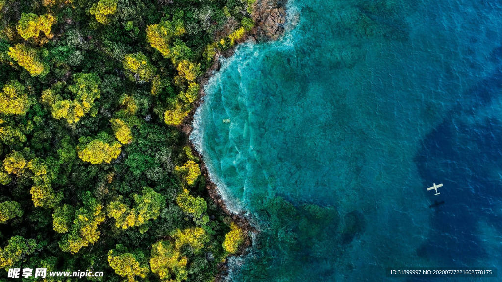 蓝色海滨鸟瞰森林与海洋摄影图片