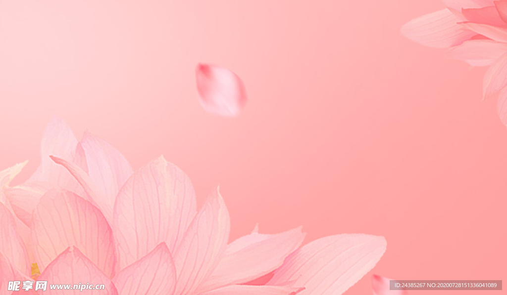 粉色荷花背景