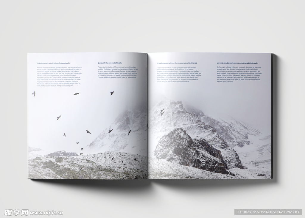 书籍杂志样机效果图