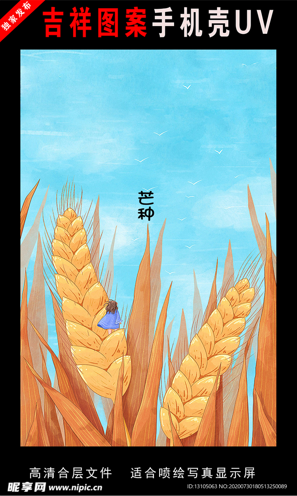 二十四节气插画 手绘插画图片二