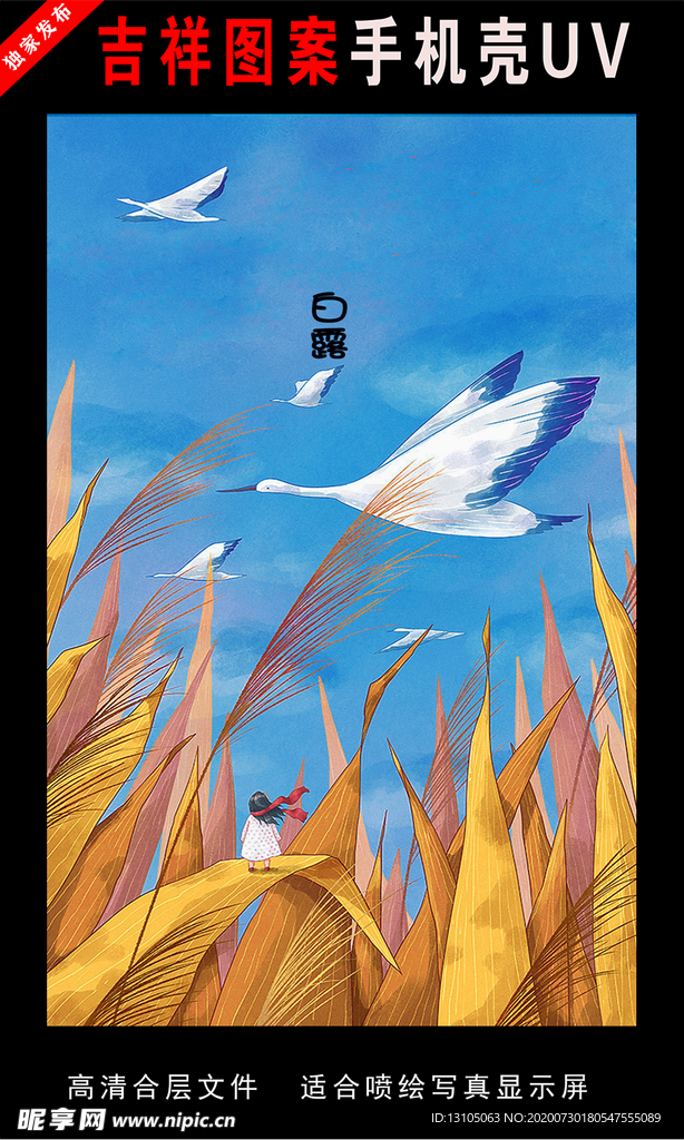 二十四节气插画 手绘插画图片二