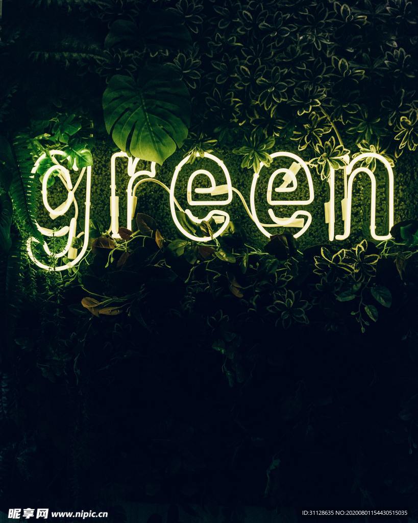 绿色 树叶