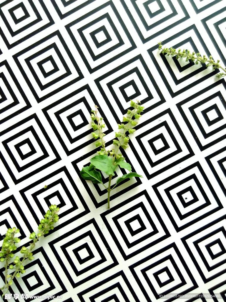 几何背景 绿植