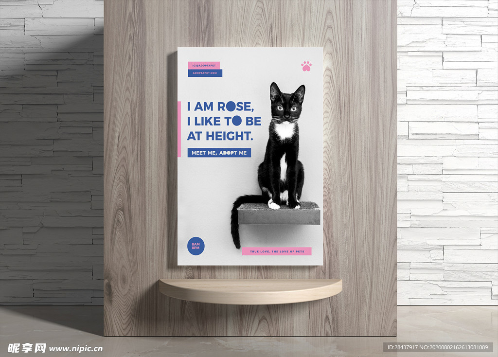 宠物海报