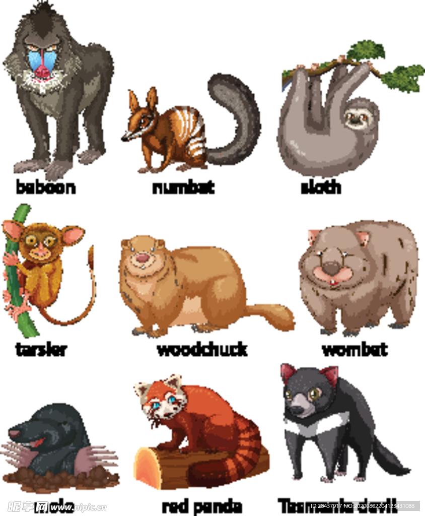 矢量动物素材