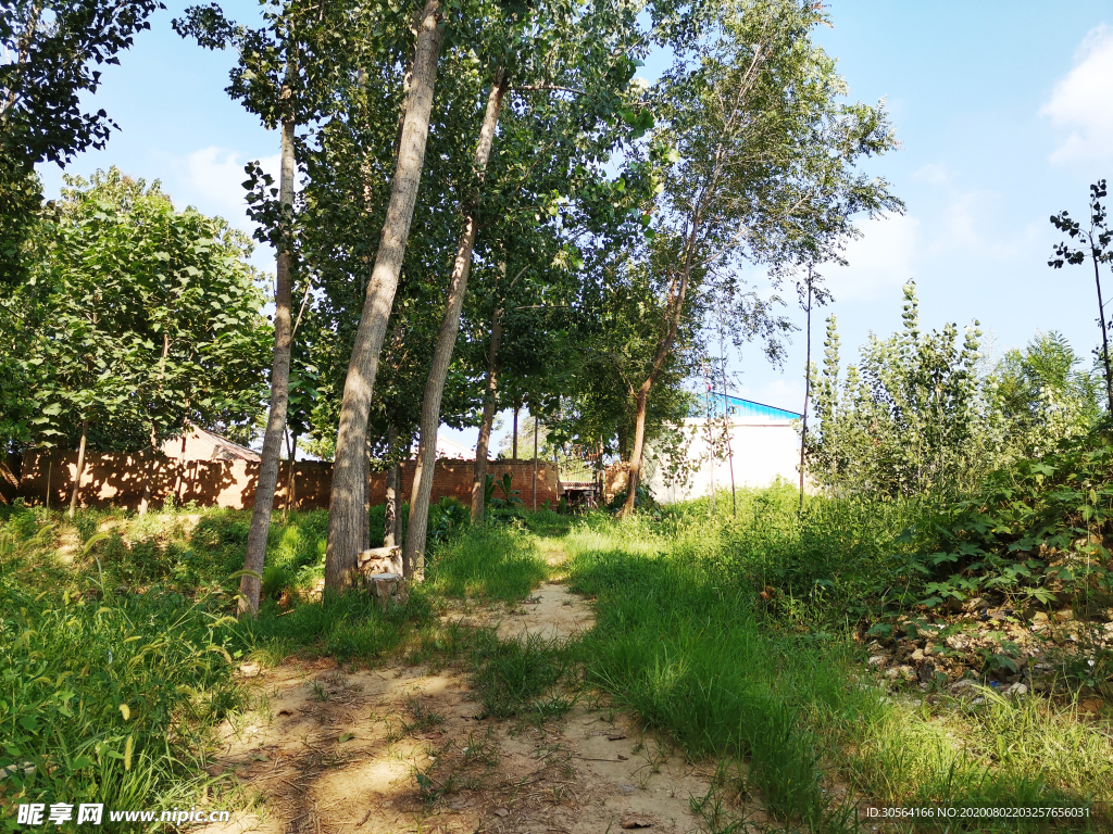 小路乡下农村风光背景素材