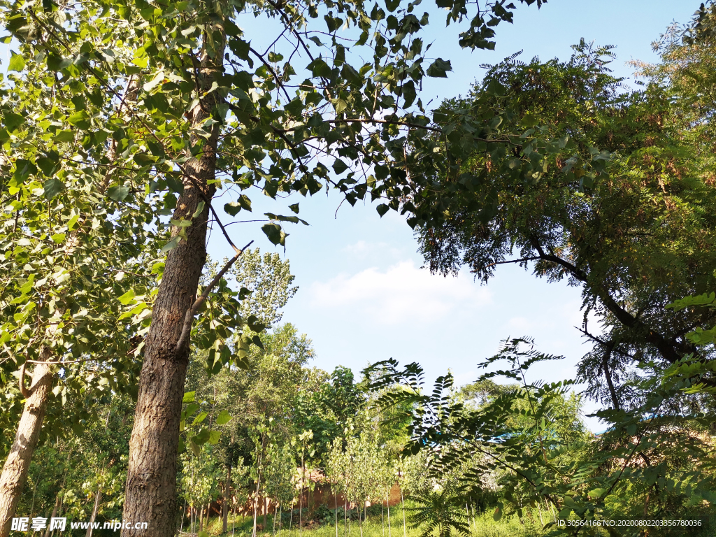 乡村乡下农村风光背景素材