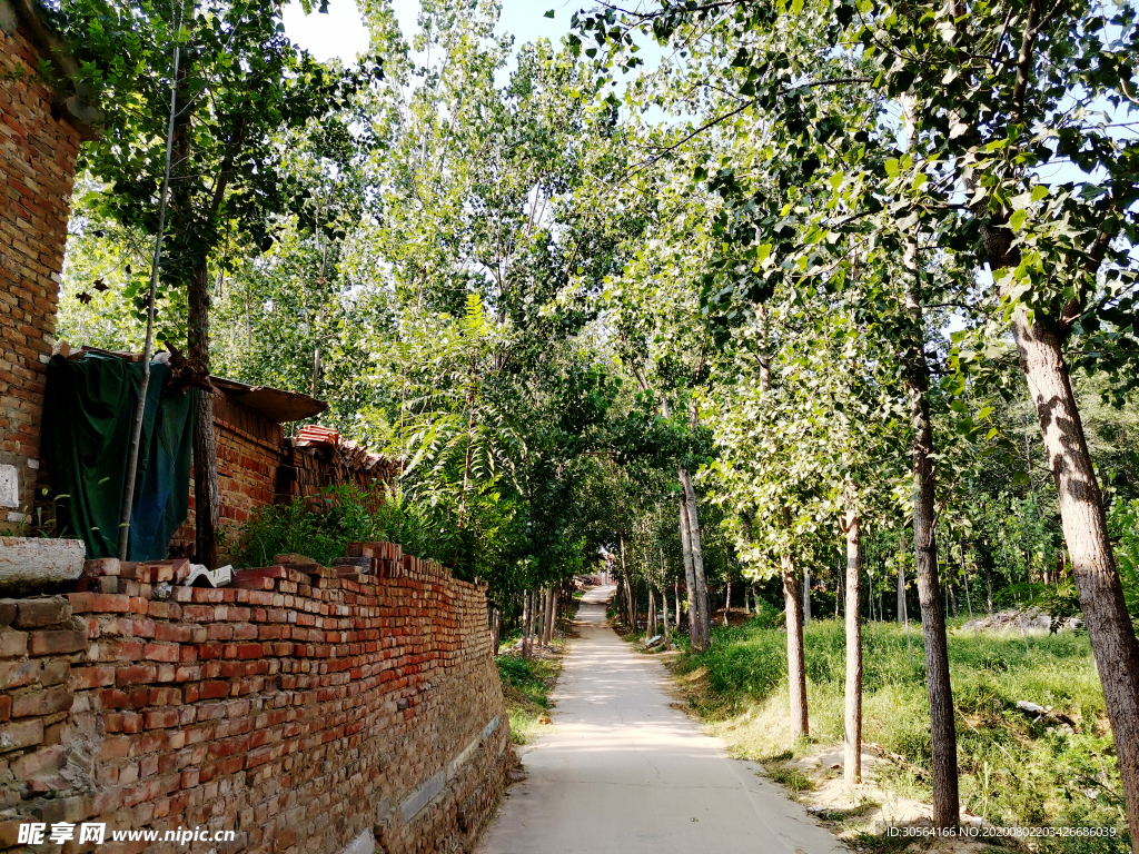 砖墙乡下农村风光背景素材