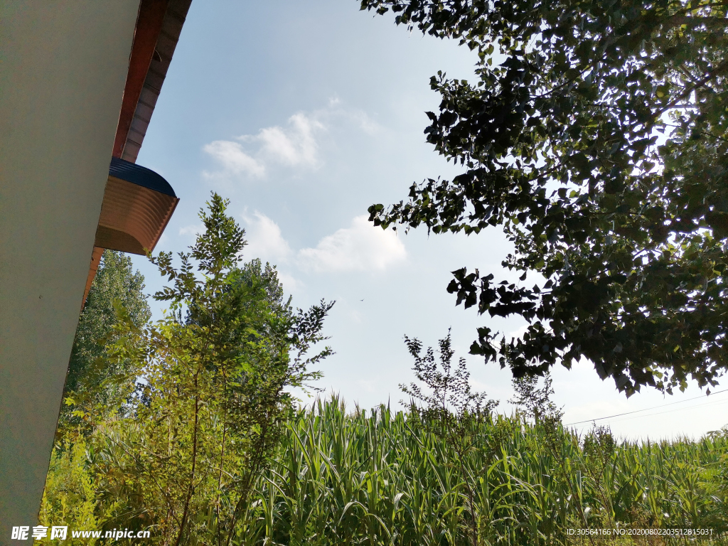 墙壁乡下农村风光背景素材