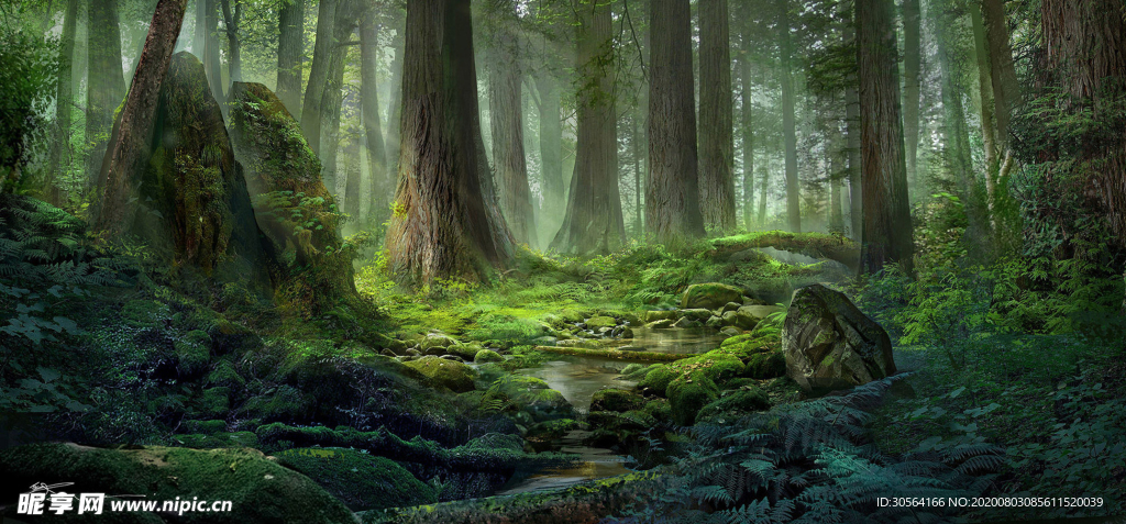 森林梦幻童话清新背景素材