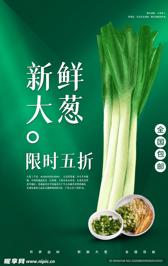 新鲜大葱特产促销活动宣传海报
