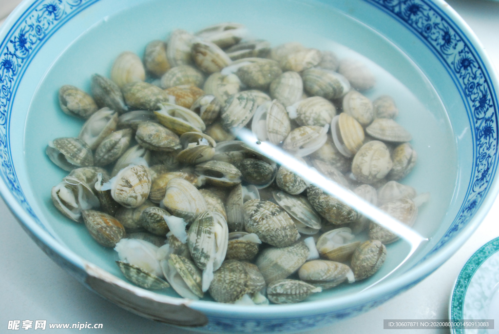 生蚝