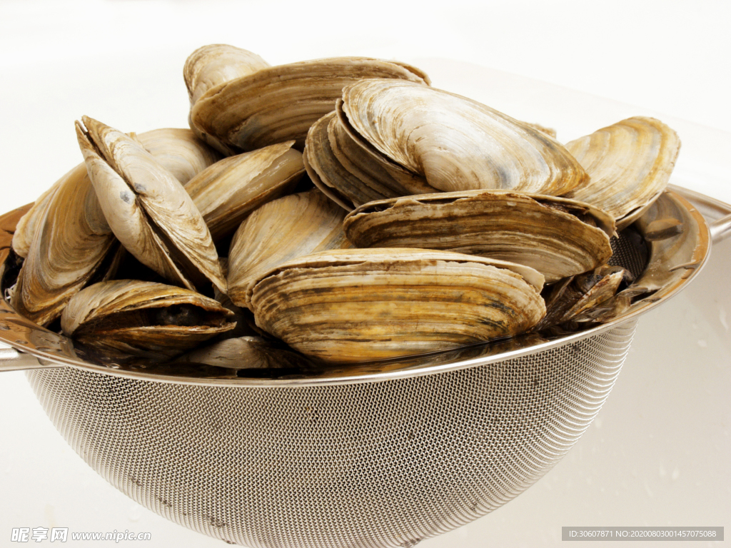 生蚝
