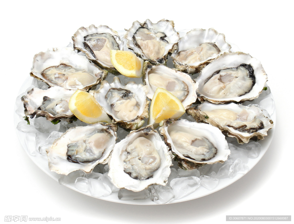 生蚝