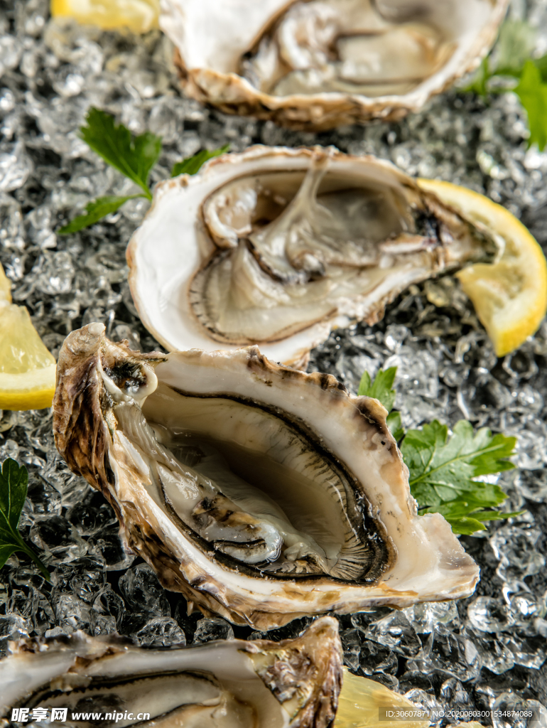 生蚝