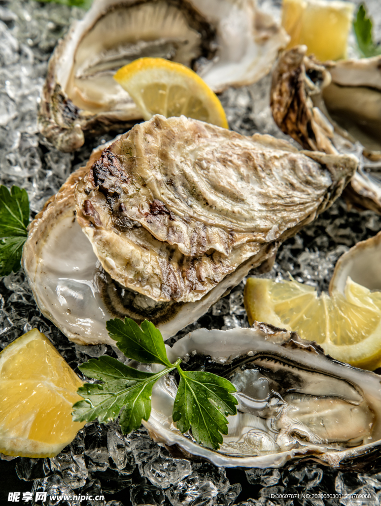 生蚝