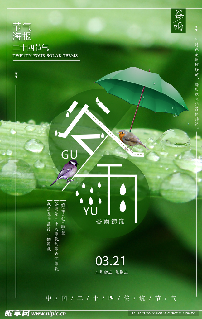 大气简洁谷雨节气海报