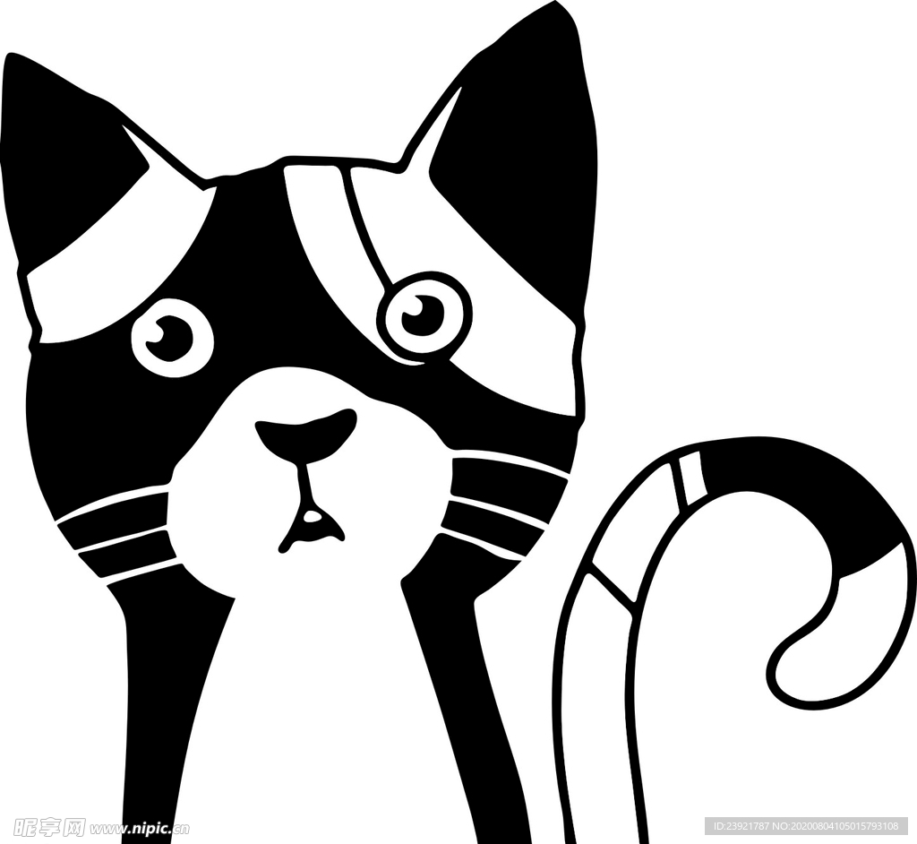 猫
