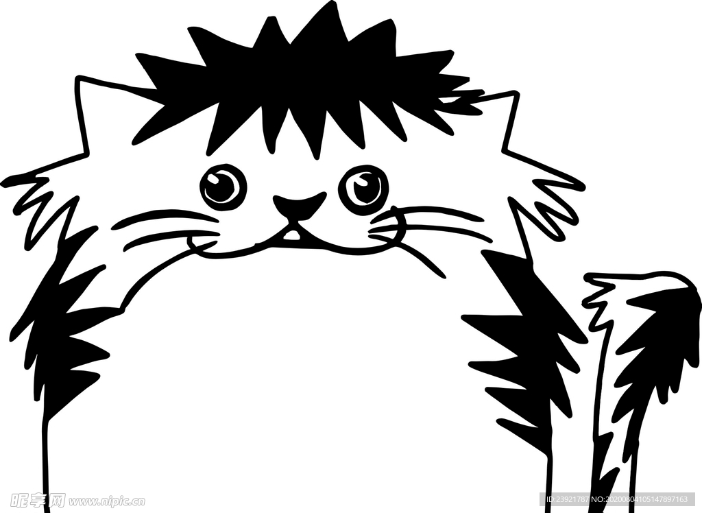 猫
