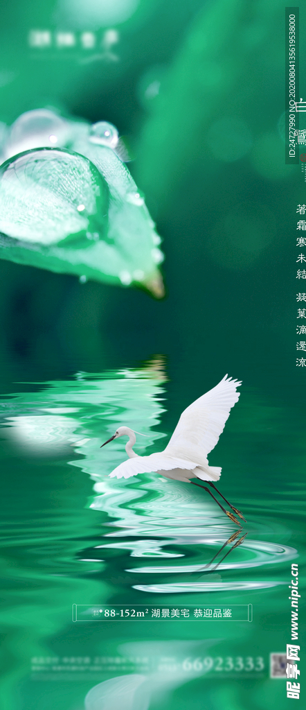 地产节气白露大气清新海报