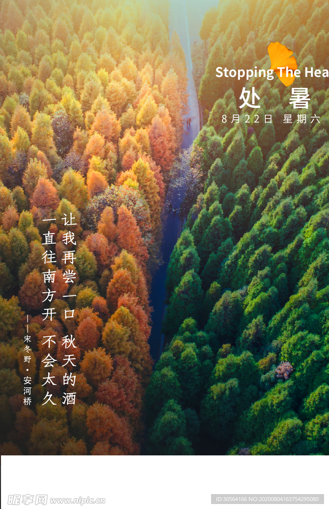 处暑节日促销活动宣传海报