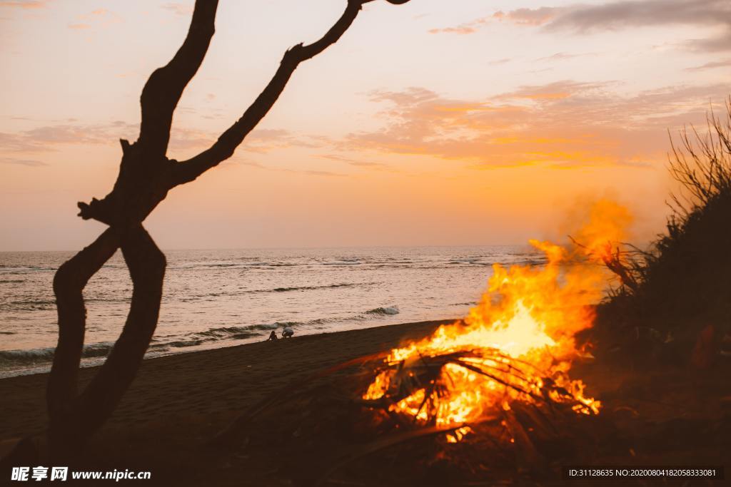 海滩 火焰