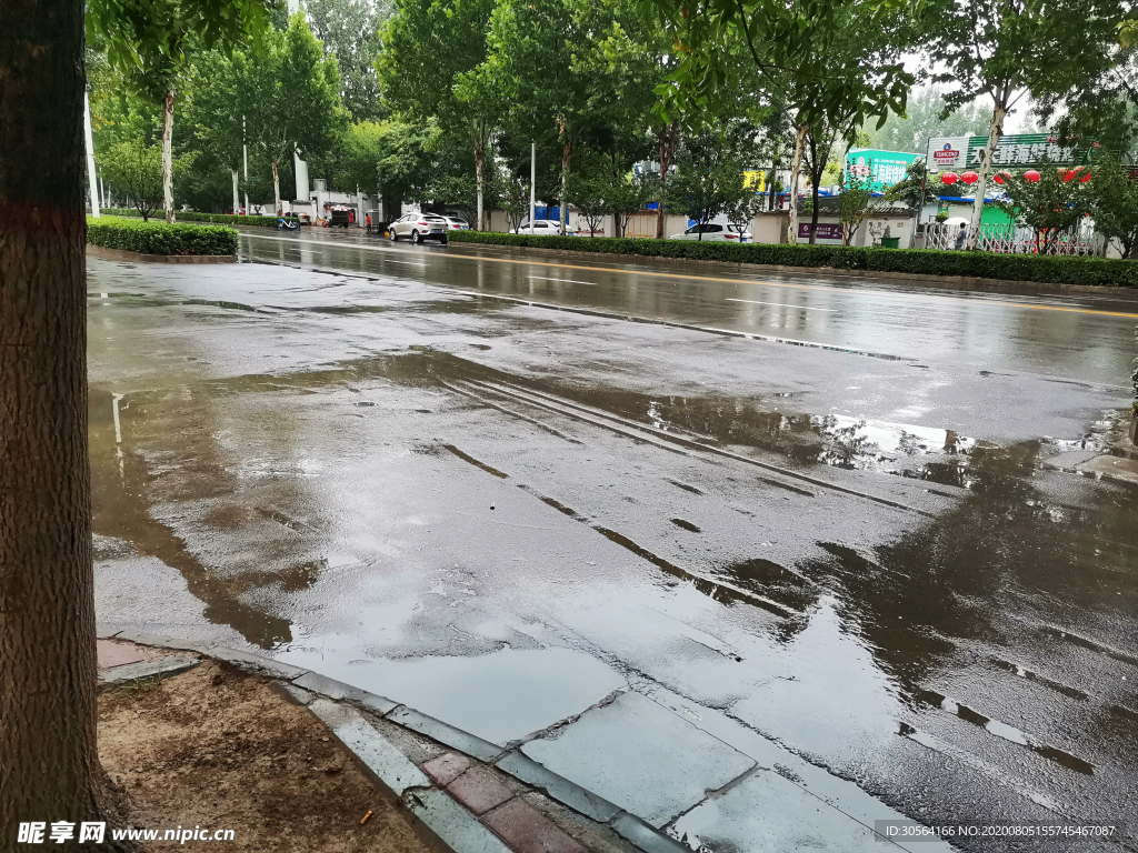 城市下雨天雨季树木街道背景素材