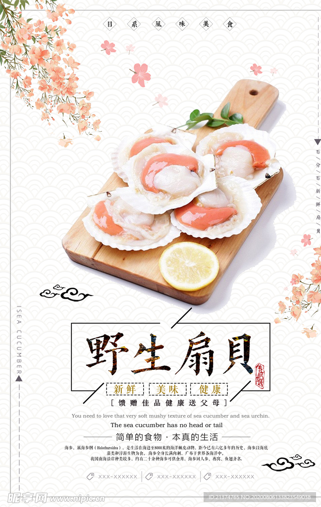 简洁美食野生扇贝海报