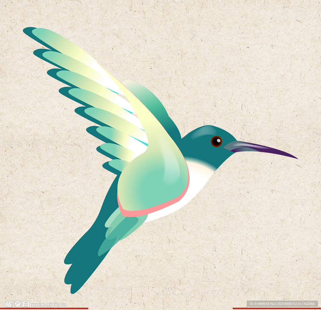 矢量动物 矢量植物 插画 手绘