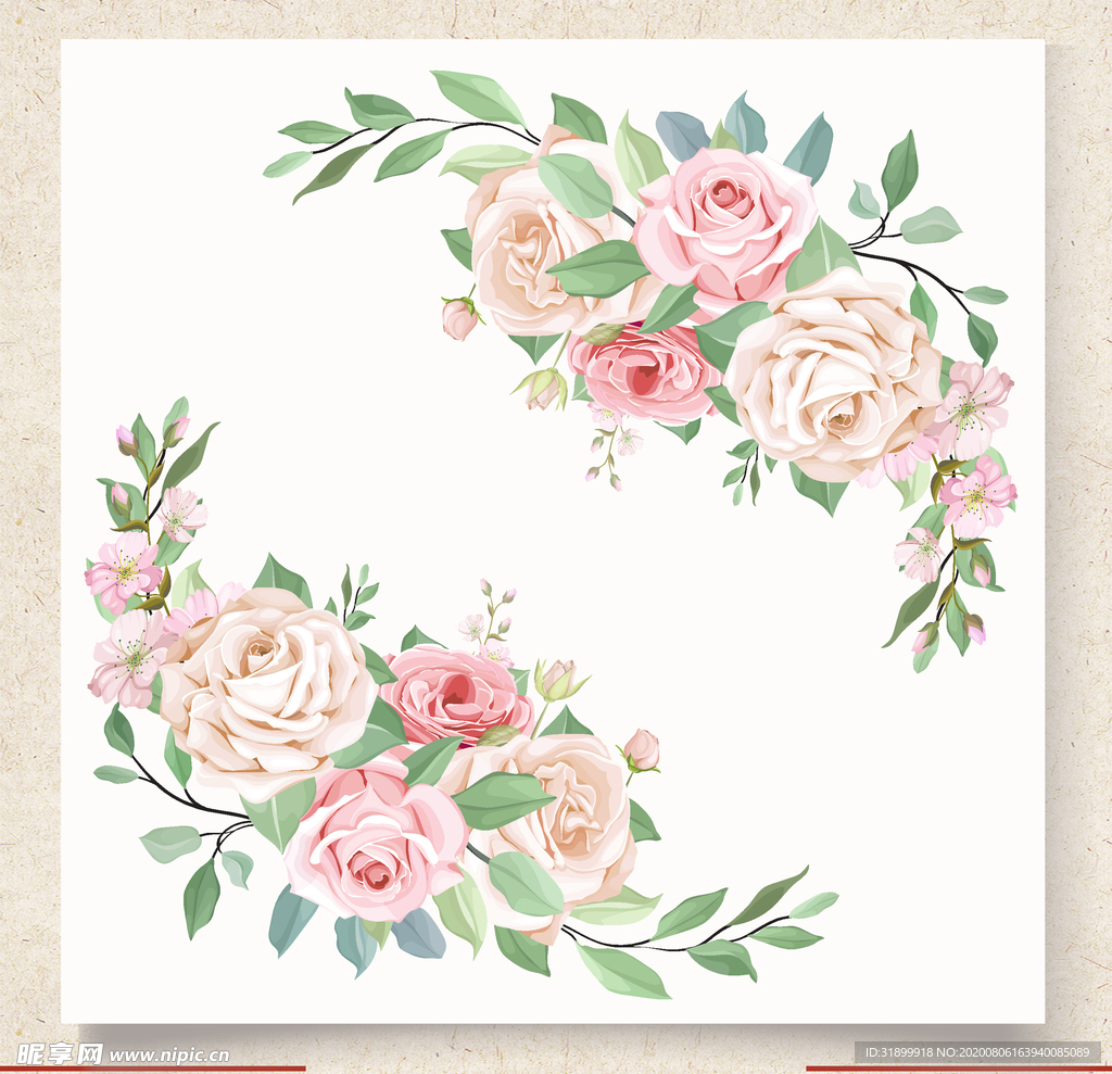 矢量动物 矢量植物 插画 手绘