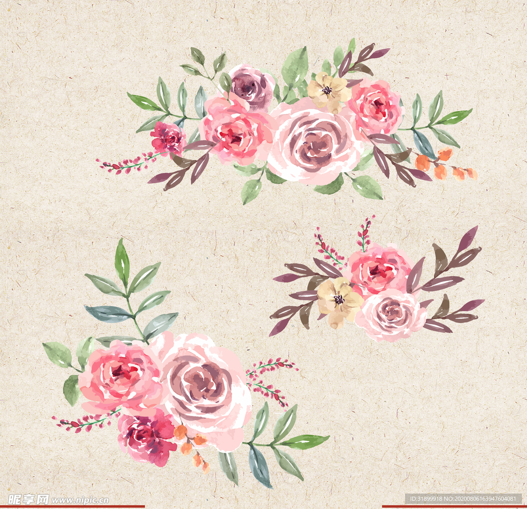 矢量动物 矢量植物 插画 手绘