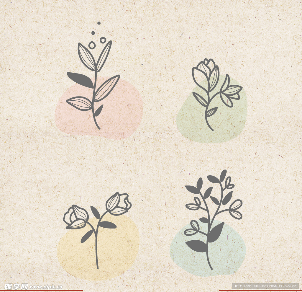 矢量动物 矢量植物 插画 手绘