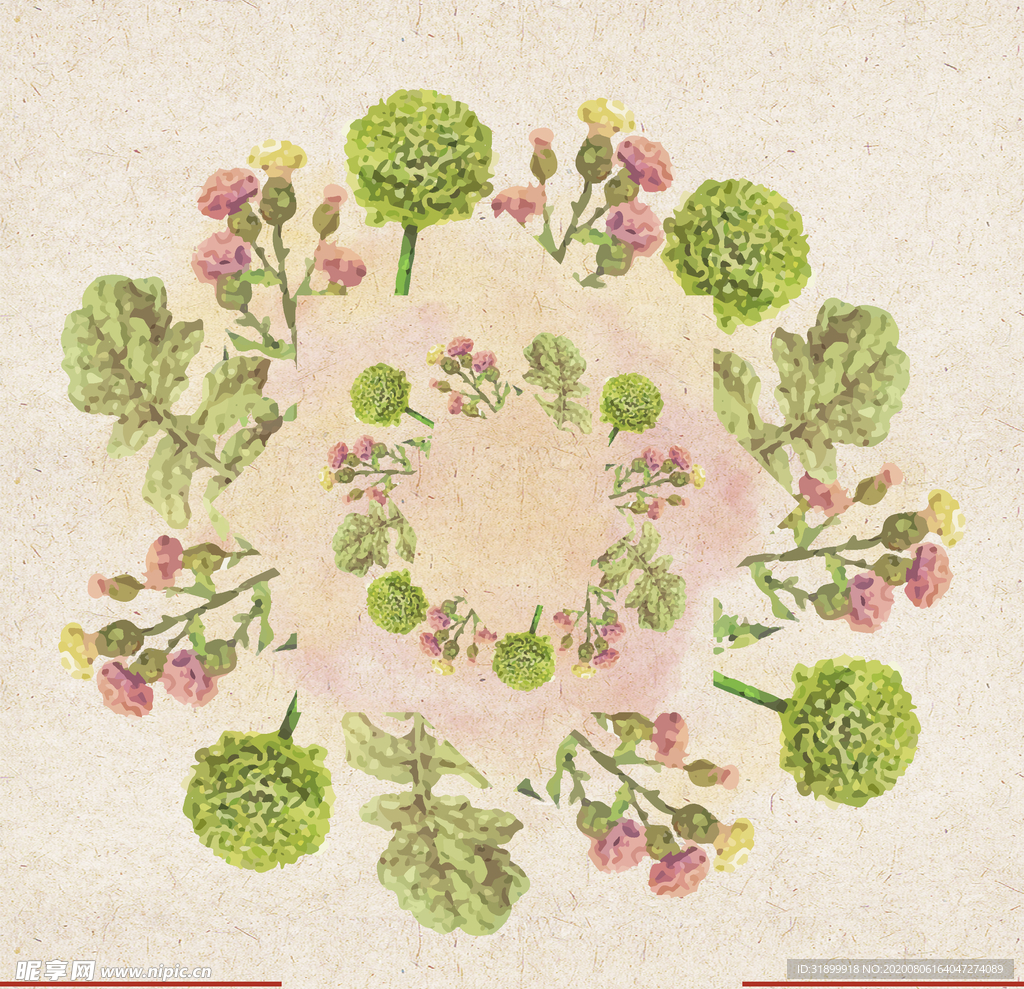 矢量动物 矢量植物 插画 手绘