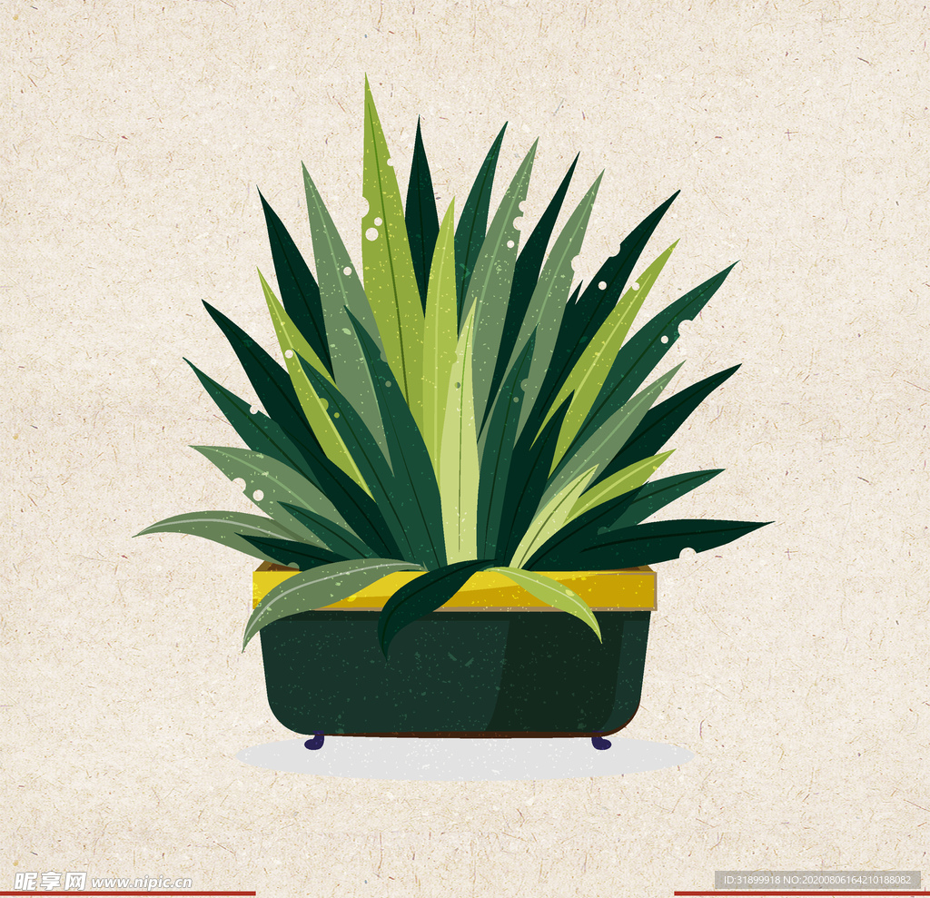 矢量动物 矢量植物 插画 手绘