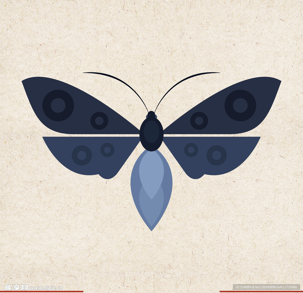 矢量动物 矢量植物 插画 手绘