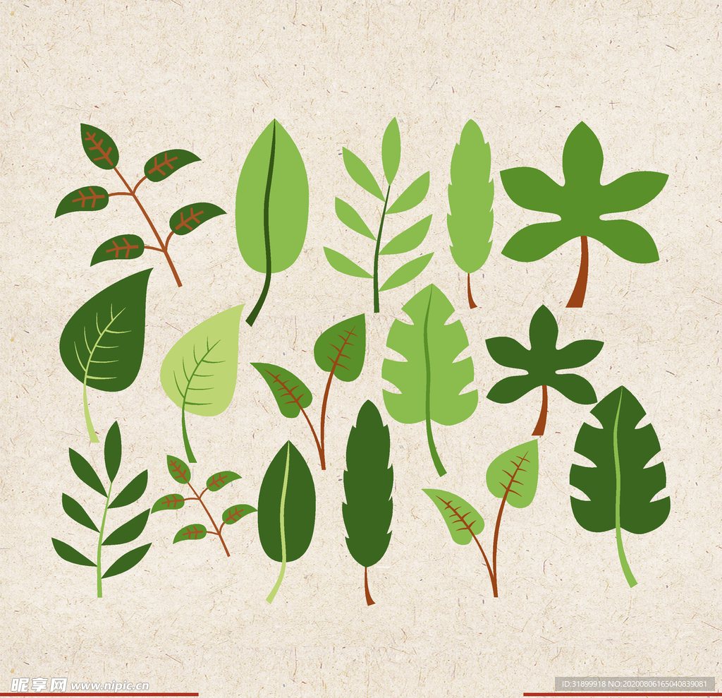 矢量动物 矢量植物 插画 手绘