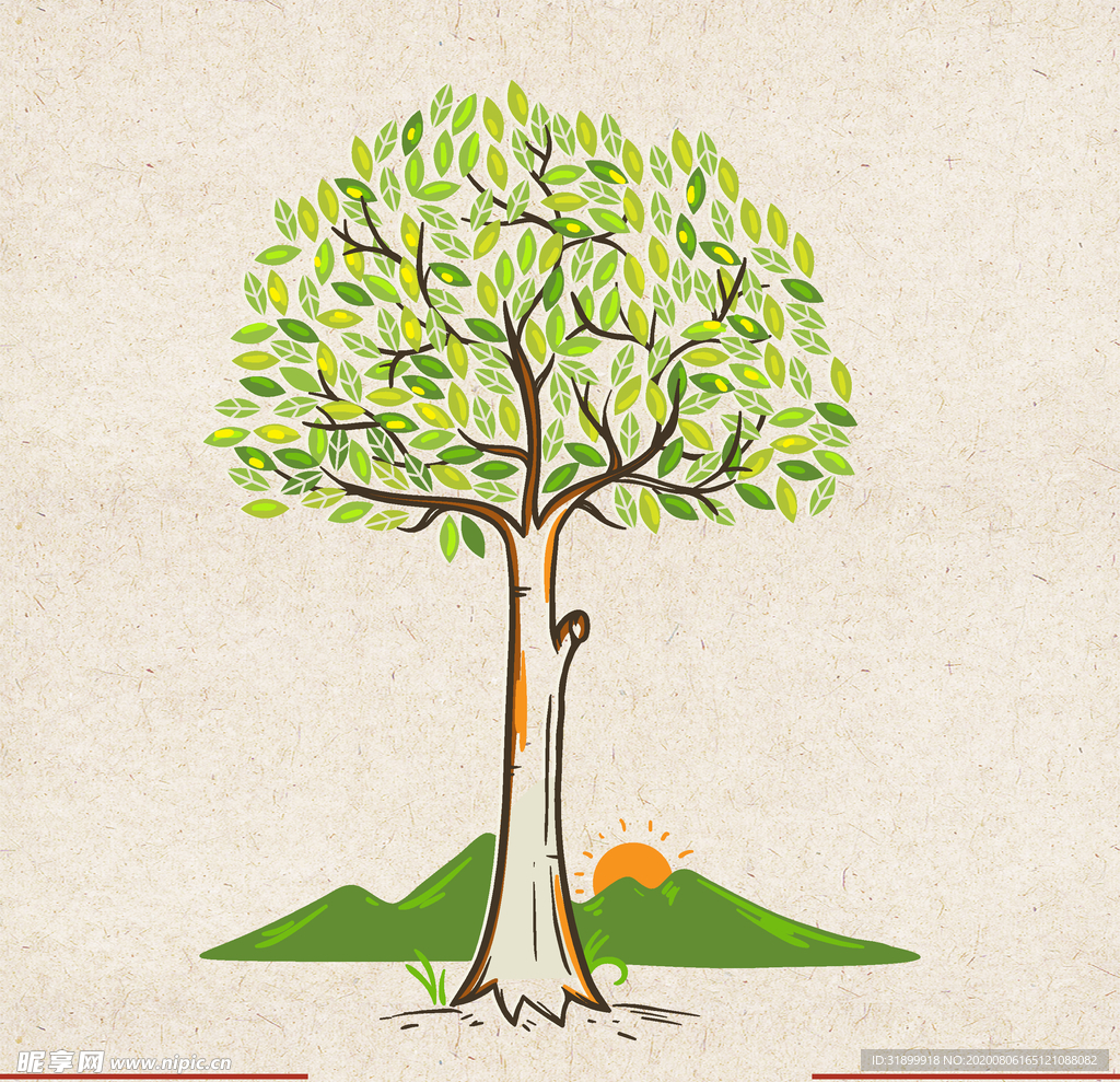 矢量动物 矢量植物 插画 手绘