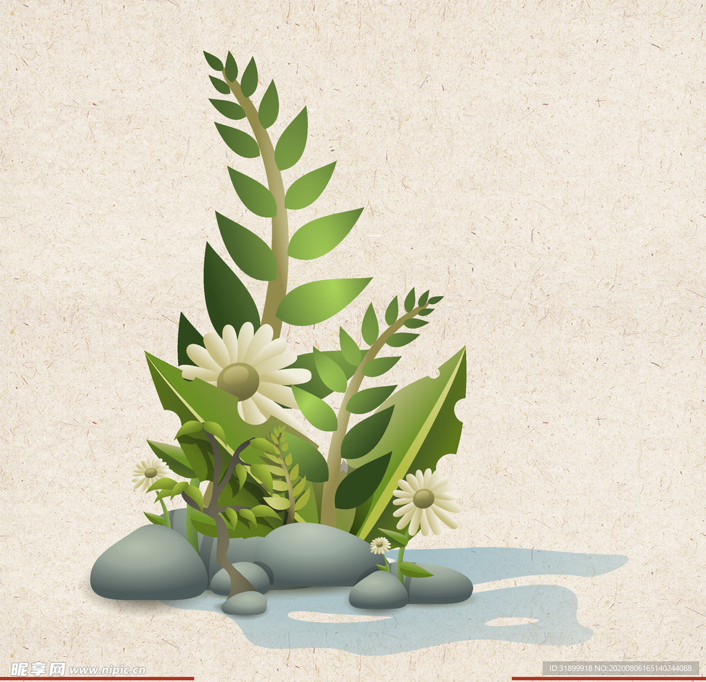 矢量动物 矢量植物 插画 手绘
