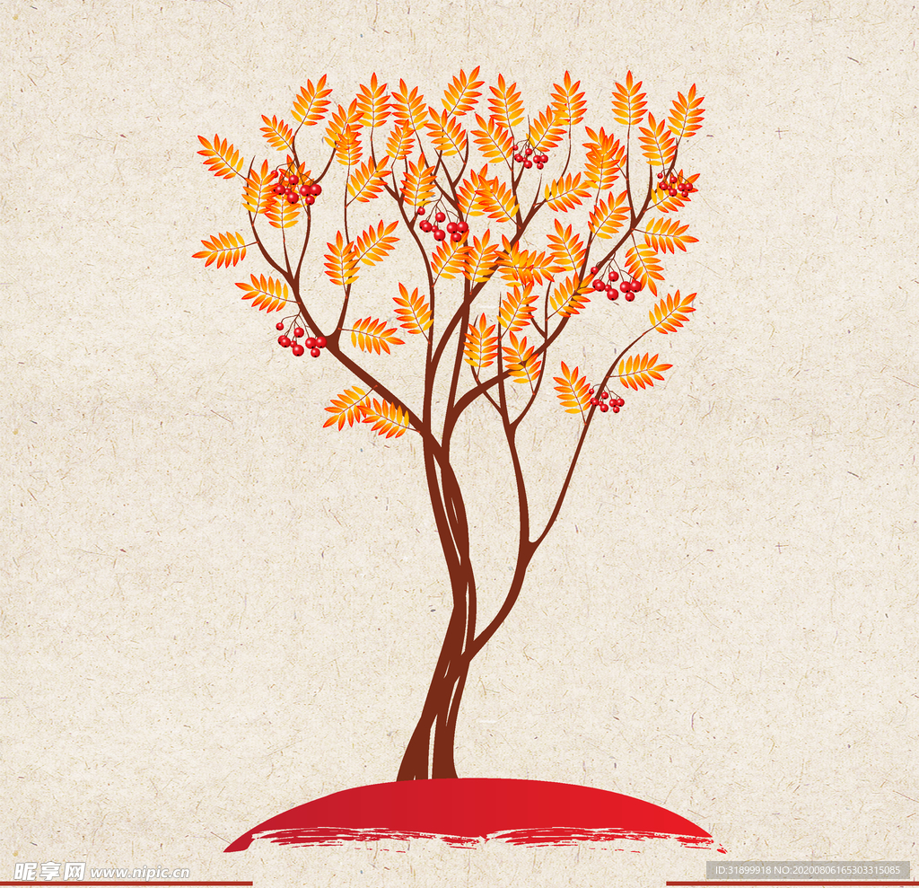 矢量动物 矢量植物 插画 手绘