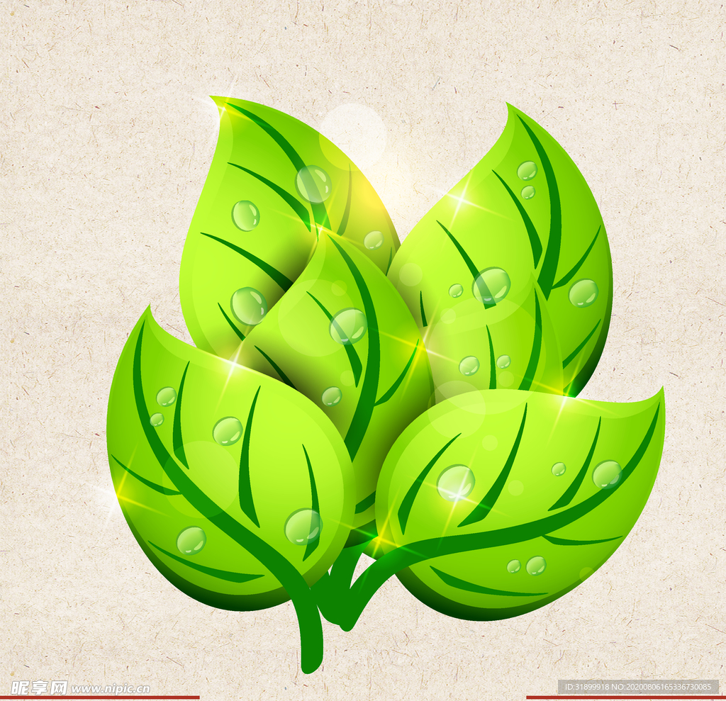 矢量动物 矢量植物 插画 手绘