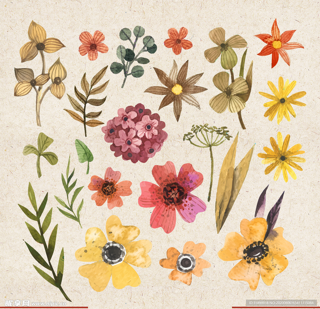 矢量动物 矢量植物 插画 手绘