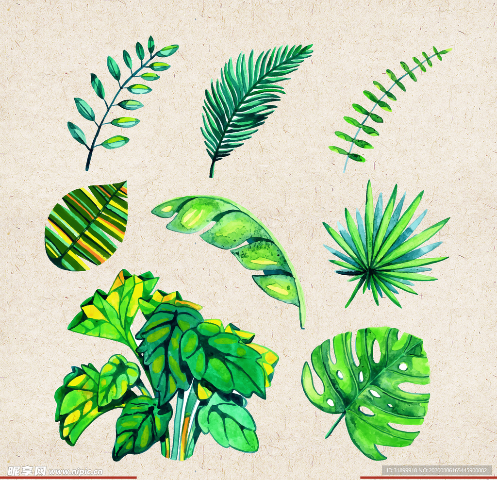 矢量动物 矢量植物 插画 手绘