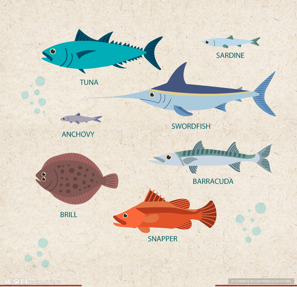 矢量动物 矢量植物 插画 手绘