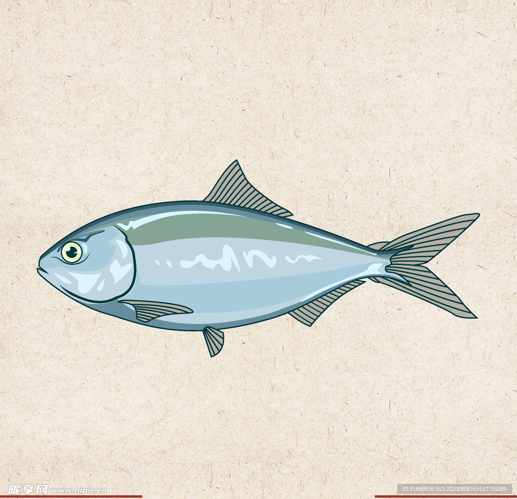 矢量动物 矢量植物 插画 手绘