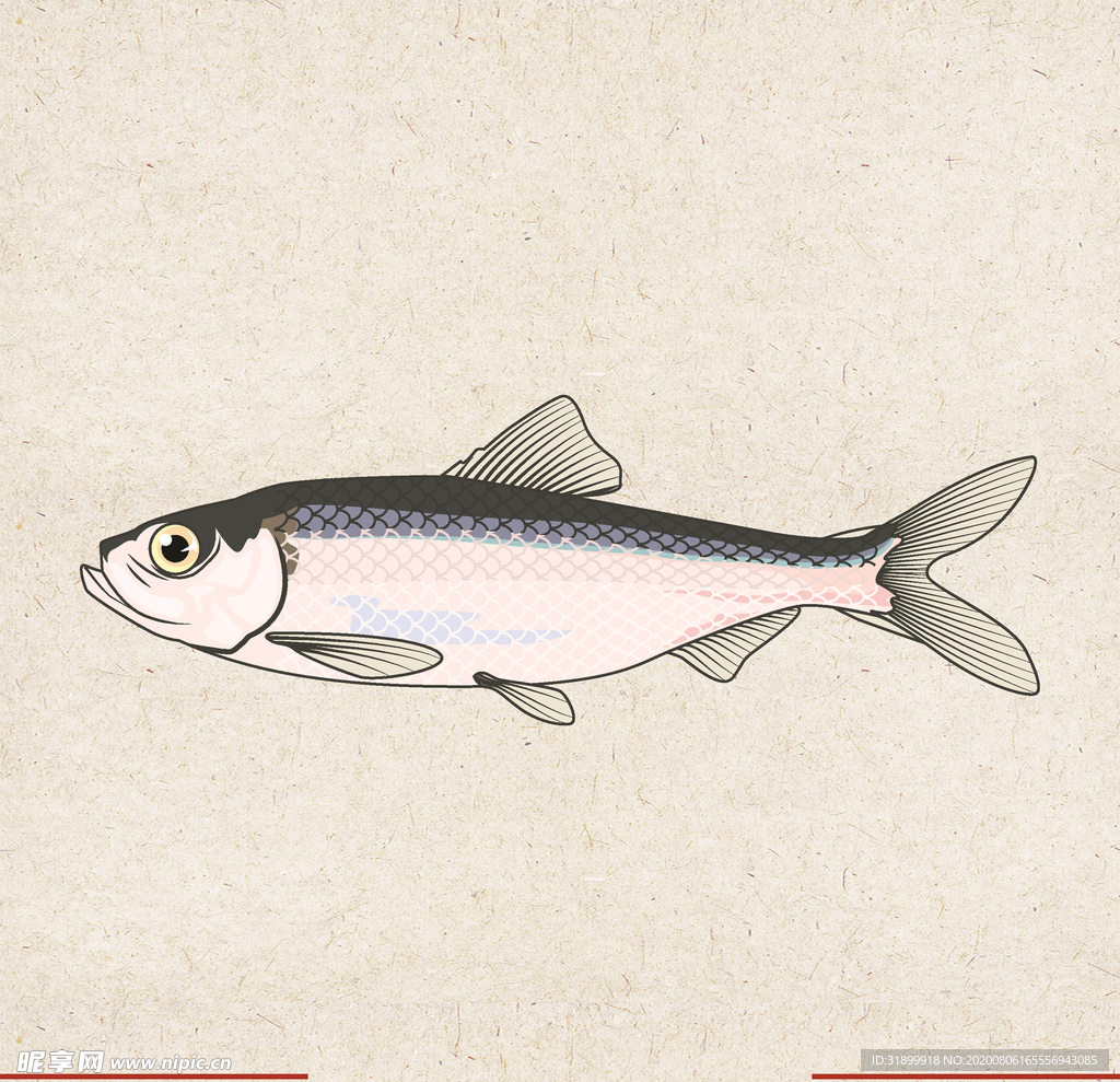 矢量动物 矢量植物 插画 手绘