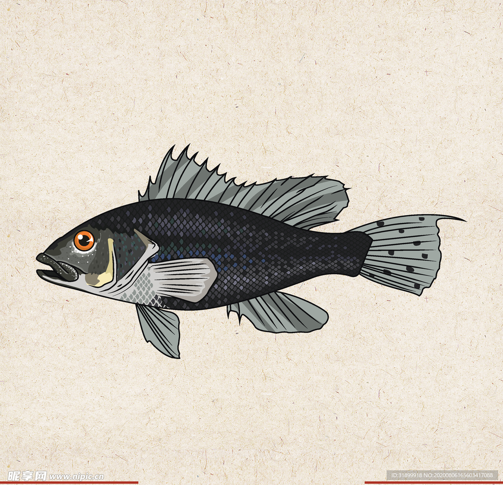 矢量动物 矢量植物 插画 手绘