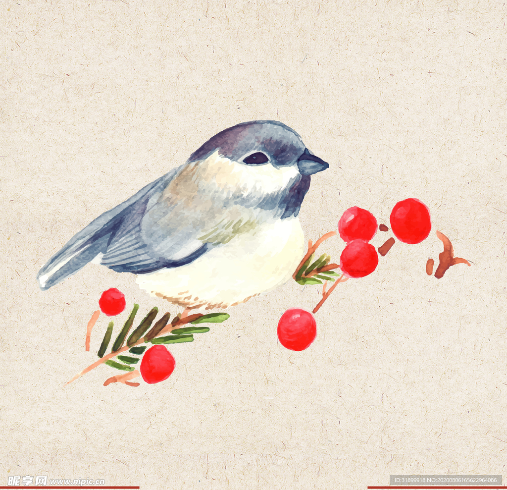 矢量动物 矢量植物 插画 手绘